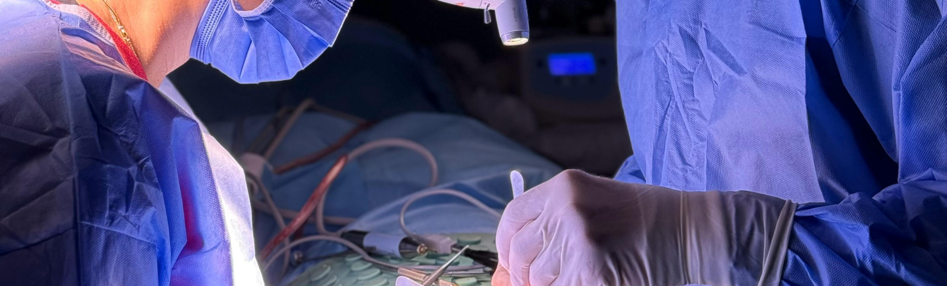 facelift Palisades DC